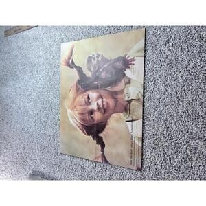 Vintage Pippi Longstocking Motivational Poster